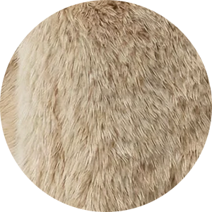 Ellipse_26_1.png